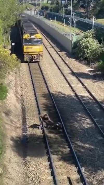 I'm sort of at a loss for words, but I think he's a real hero...