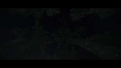 This trailer makes me feel things...