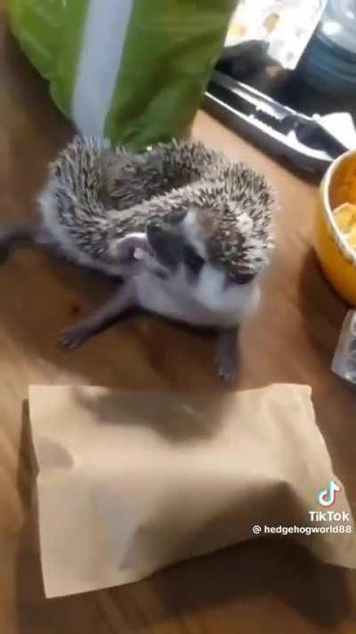 Ele se enfiou do nada