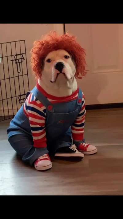 Ready for Halloween 🎃🕷️