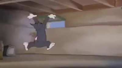 Campers at the beginning of every match: