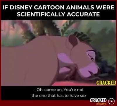 I think i have downloaded wrong lion King.