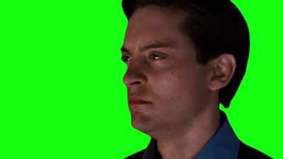 [MEME TEMPLATE] Tobey Maguire staring blankly - Spider-Man 3 Green Screen