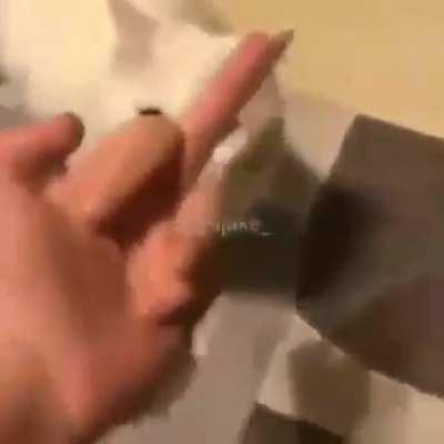 Reclamou tomou na cara