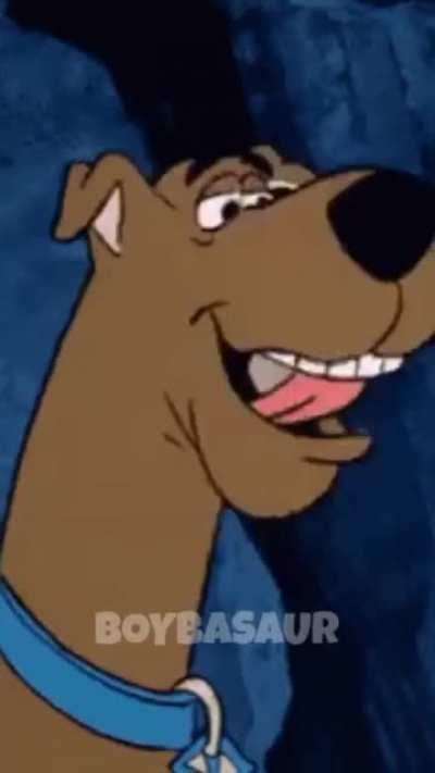 Shaggy breakin stuff