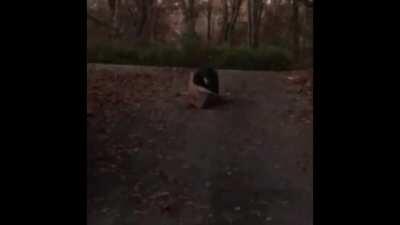 What Could Go Wrong Riding A Soapbox The Wrong Way