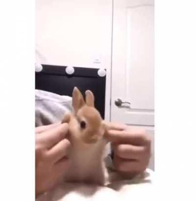 DylanteroYT - Video #5978