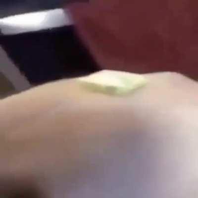 Butter Dog😳😳😳