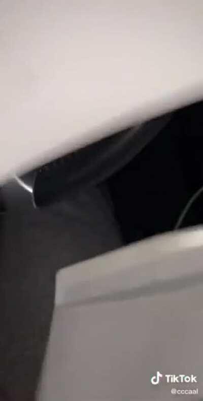 You win some you lose some