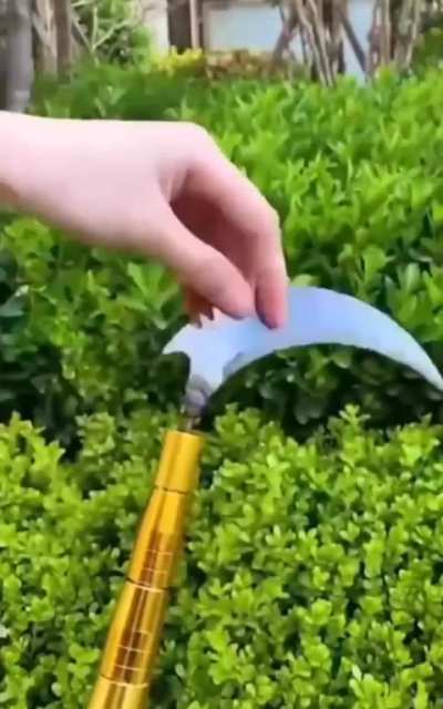 [💲4.18] 🍓 Fruit collector