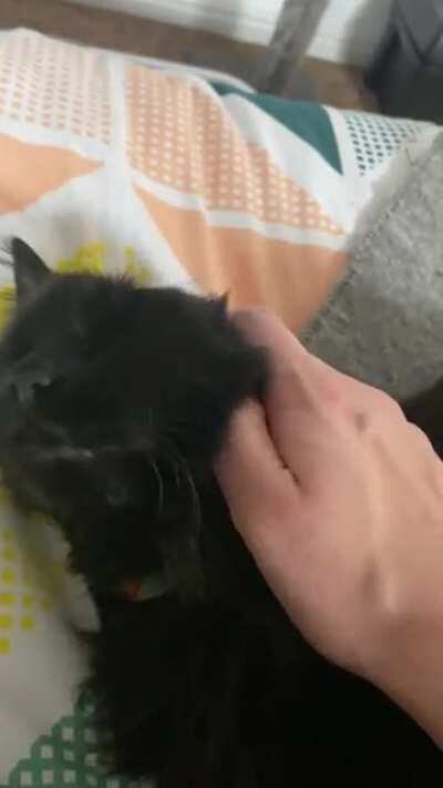 Sweet sleepy Roo rolls