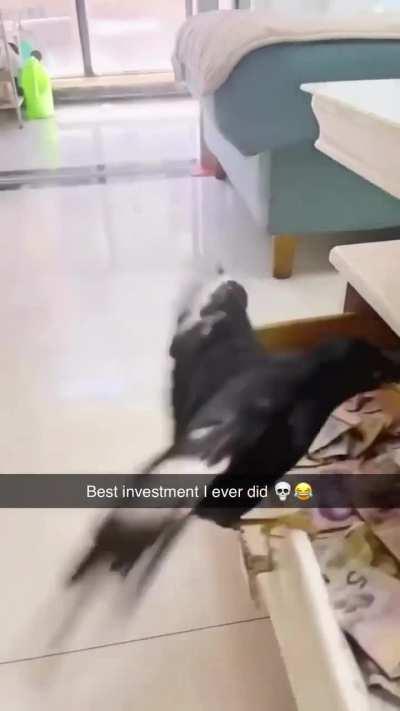 Still paying for past life Debt mistakes 