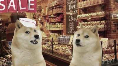 Le Poor Investments has arrived