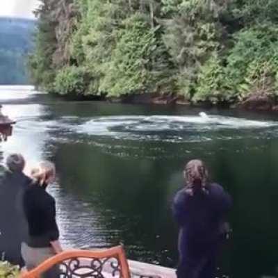 Woman is overwhelmed with excitement seeing whales up close.