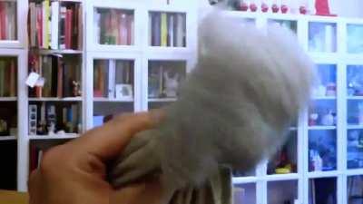 I turned my 4 year old&rsquo;s favorite stuffed animal into a super hero/spy character but she got scared by the music. Maybe Reddit will enjoy it.