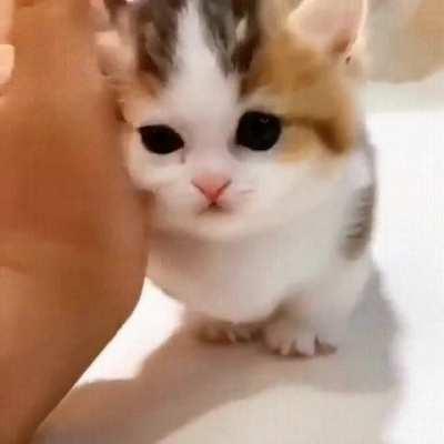 Snuggle time with parents!!