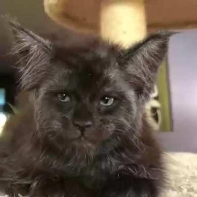 I'm not crazy, my reality is just different than yours.