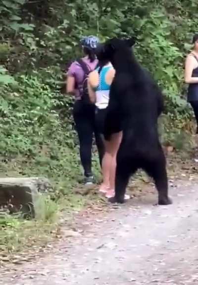 Women encounter a black bear…
