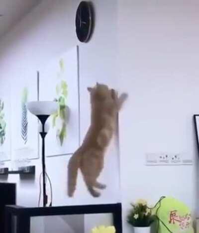 Как я Вас понимаю...