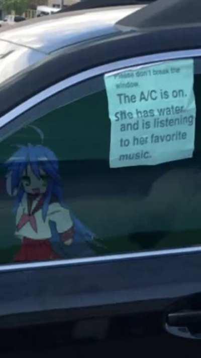 Please don't break the window