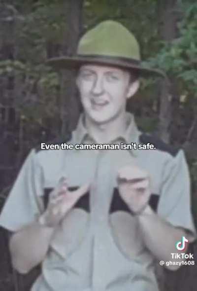 They are in the trees