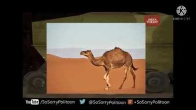 sex arab 🤪😏😋😔🤣😭🥰😰😃🤨🥺🤤👎😳😳😡😡😔😭😕😂100%halal no haram 😡😡😡😡