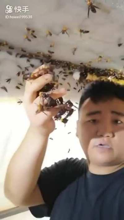 This guy handling those giant wasps