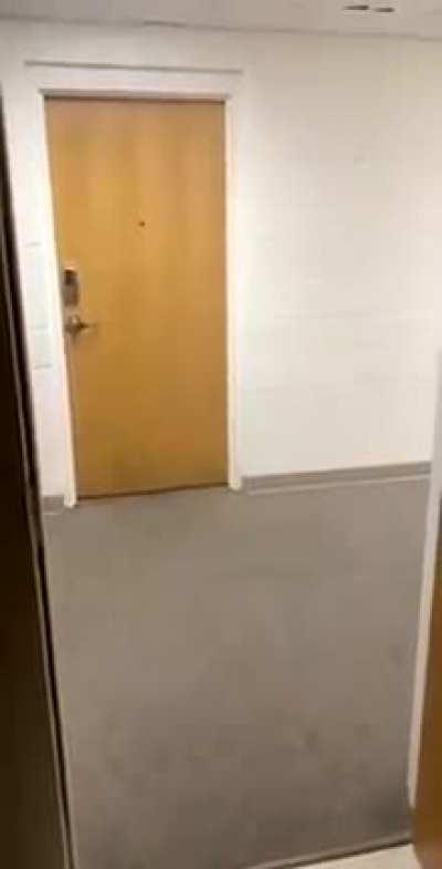 EVERYONE RUN! ITS A… duck?