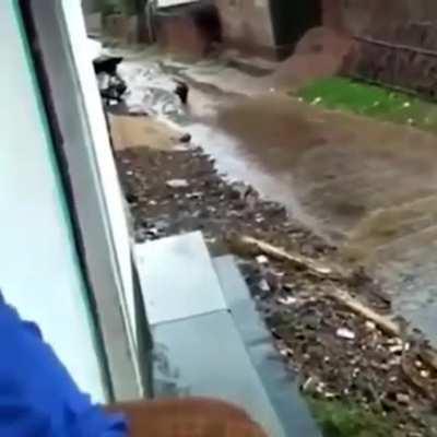 *CYBERPUNK THEME INTENSIFIES*