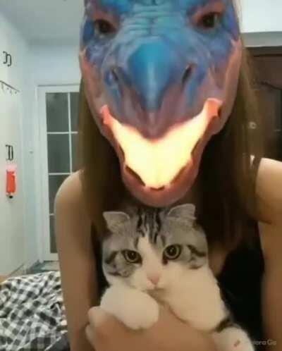 Getting freaked out by those crazy filters.