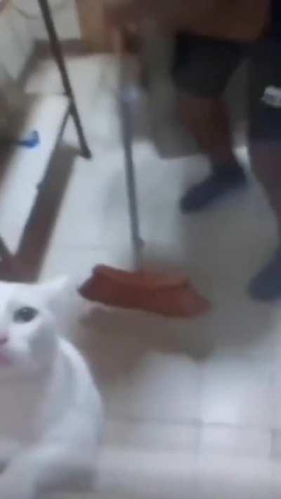 Such a hunter😹😹😹