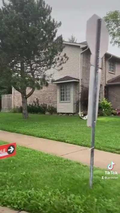 Summer mornings…. Into the stink of it….