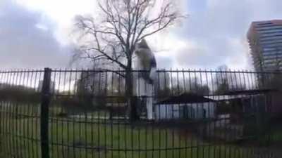 She is the chosen one, her fate is sealed!