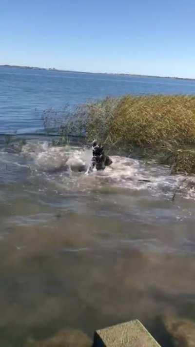 Was suggested I post this here. Water slammies.