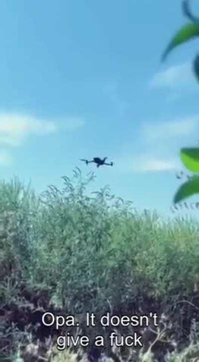 Ukranian known anti air techlogy