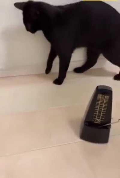 Metronome mini startles