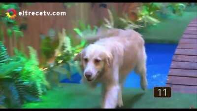 Con razón no hizo directo