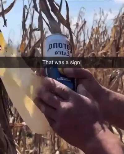 That's the kind of crop I'd go for every day. 