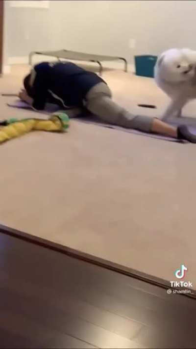 Ass whipping with soft toy