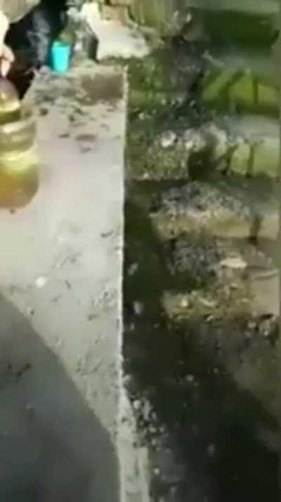 Crow taking a hit from a gravity bong. That's my kind of bird