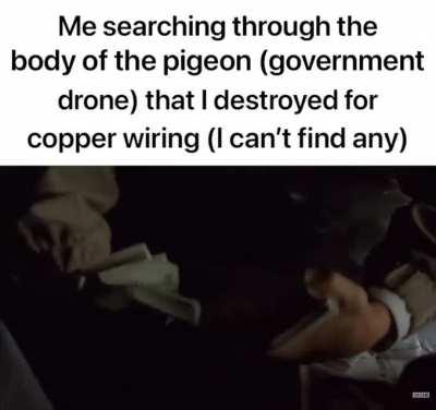 Someday im gonna find those