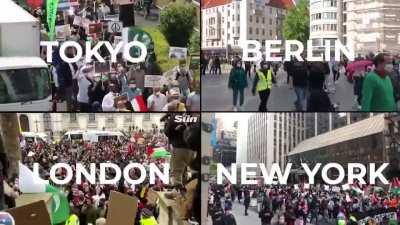 People from all walks of life have come out to support Palestinian And Denounce the Atrocities Of Israel