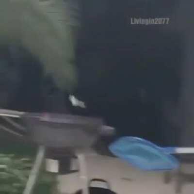 Frog noooo😭😭😭😭