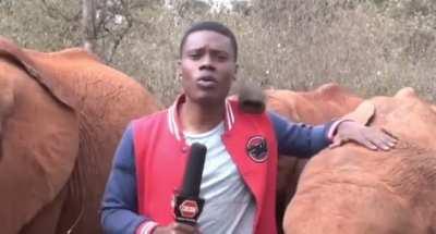 Interrupting a news reporter 