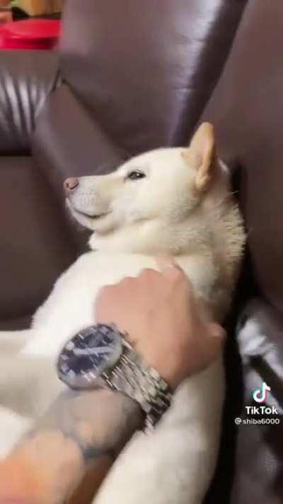 Both are derpy I think c: