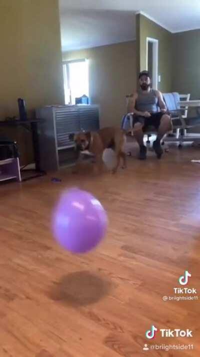 To catch the balloons