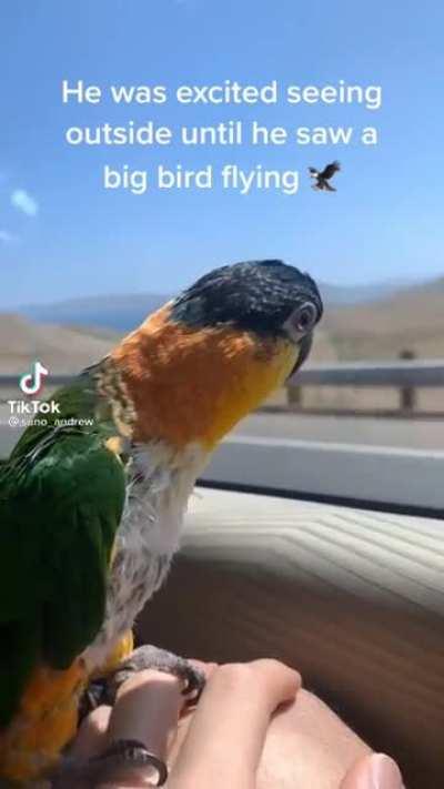 AAAAAAA but high pitched