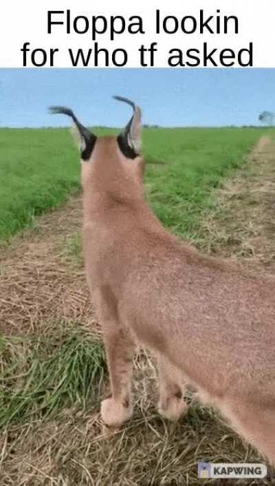 Seriously wtf 🤷🏻‍♂️