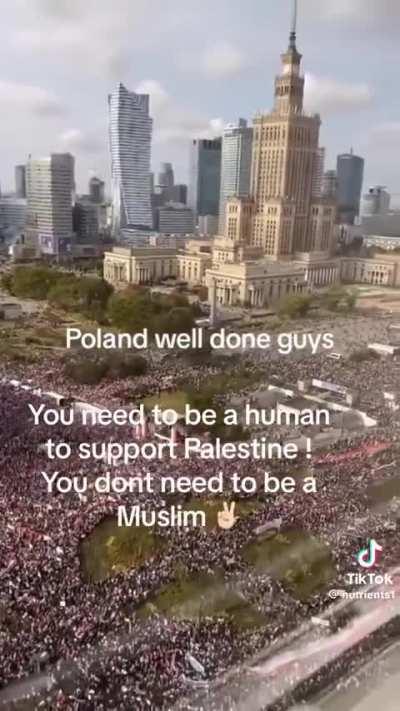 Opposition rally video being misused as Palestine protests on TikTok