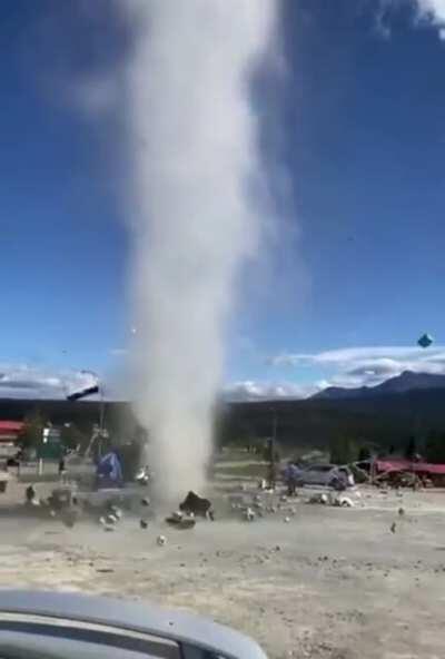 que dia bonito, vou aproveitar e vou ali comprar repolh..